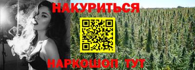 шишки Лесосибирск