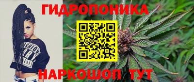 шишки Лесосибирск