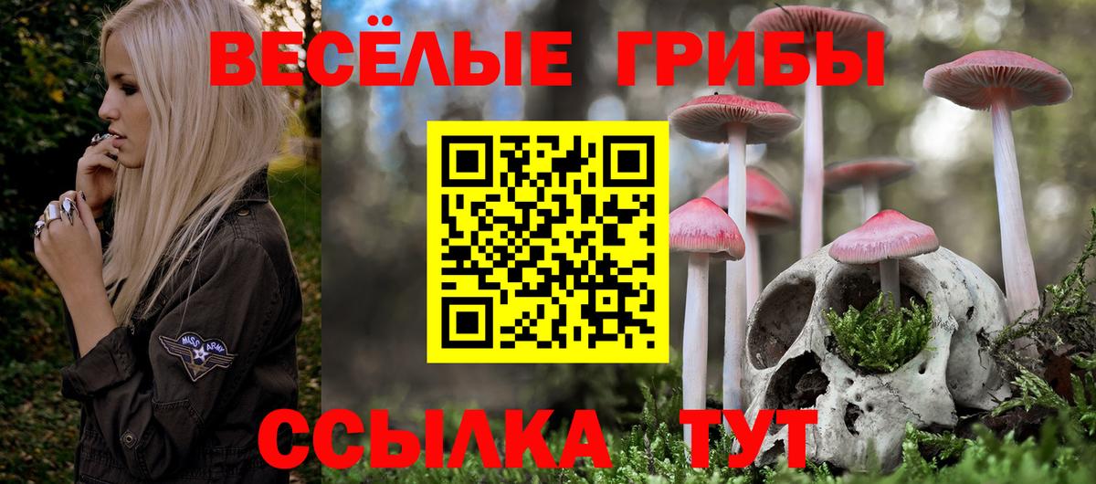 Галлюциногенные грибы Psilocybe Сергиев Посад
