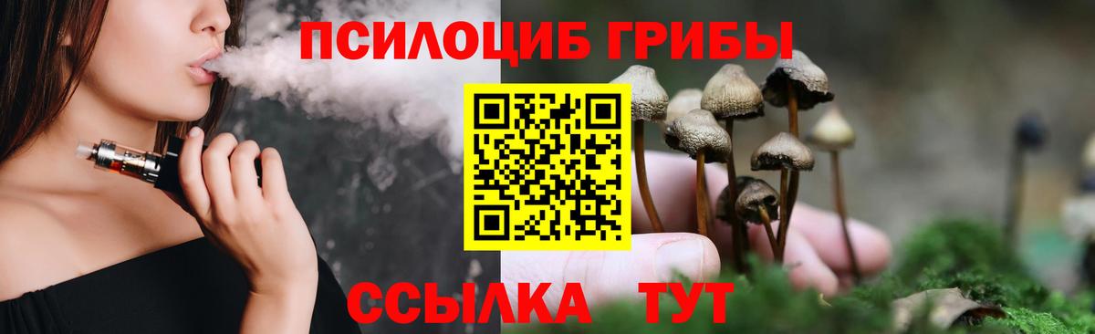 Псилоцибиновые грибы прущие грибы  Псилоцибиновые грибы Psilocybe  Сергиев Посад  Вход с VPN 